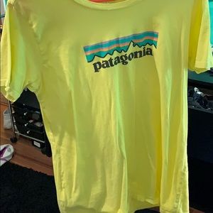 Patagonia Tshirt